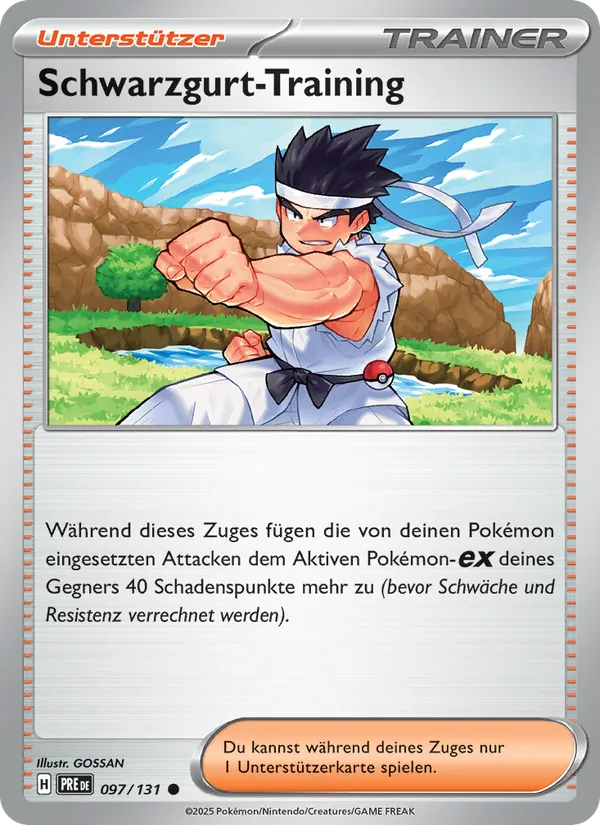 Schwarzgurt-Training Prismatische Entwicklungen 097/131