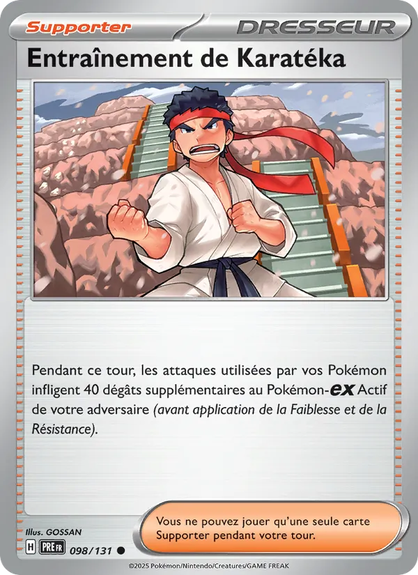 Entraînement de Karatéka Évolutions Prismatiques 098/131