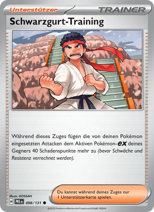 Schwarzgurt-Training Prismatische Entwicklungen 098/131