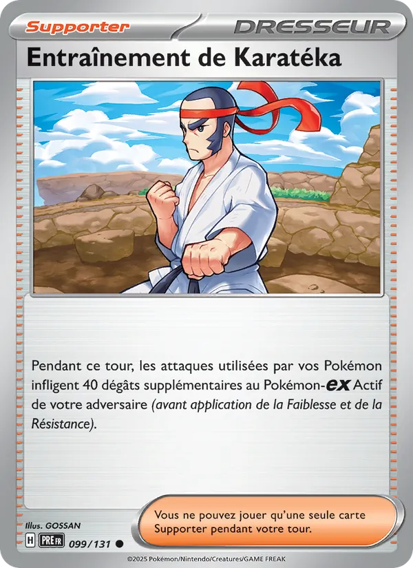 Entraînement de Karatéka Évolutions Prismatiques 099/131
