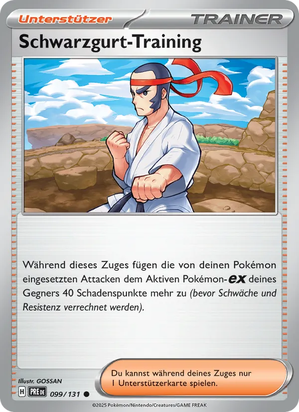 Schwarzgurt-Training Prismatische Entwicklungen 099/131