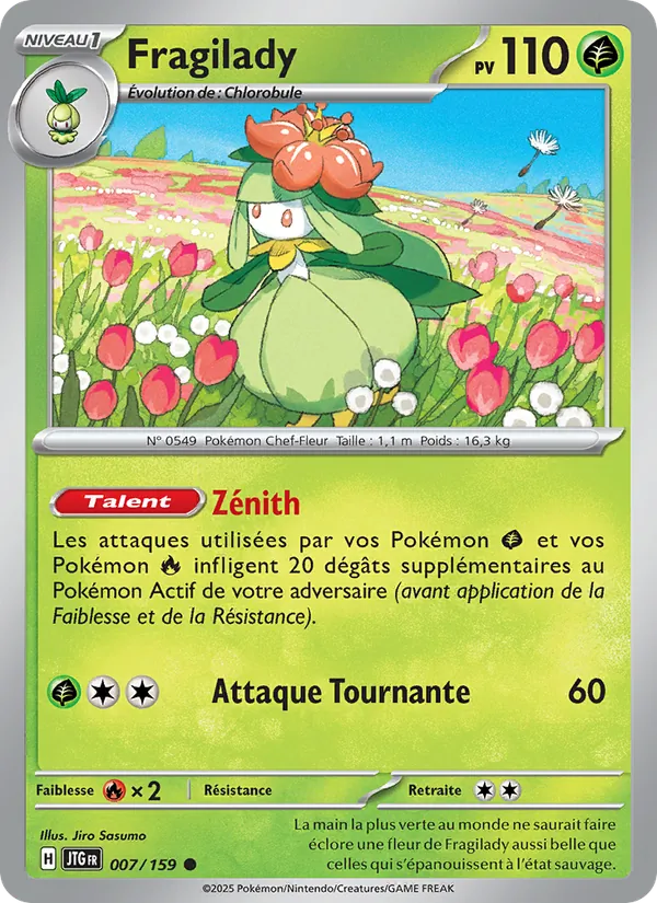 Fragilady Aventures Ensemble 007/159
