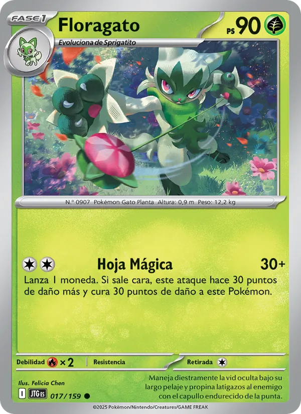 Floragato Juntos de Aventuras 017/159