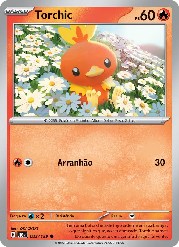 Torchic Amigos de Jornada 022/159