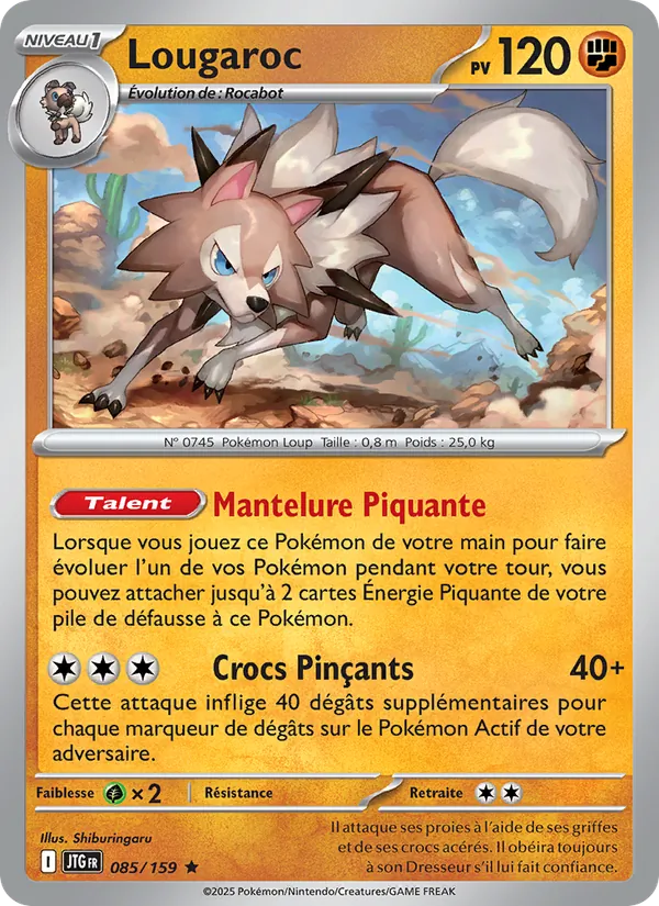 Lougaroc Aventures Ensemble 085/159