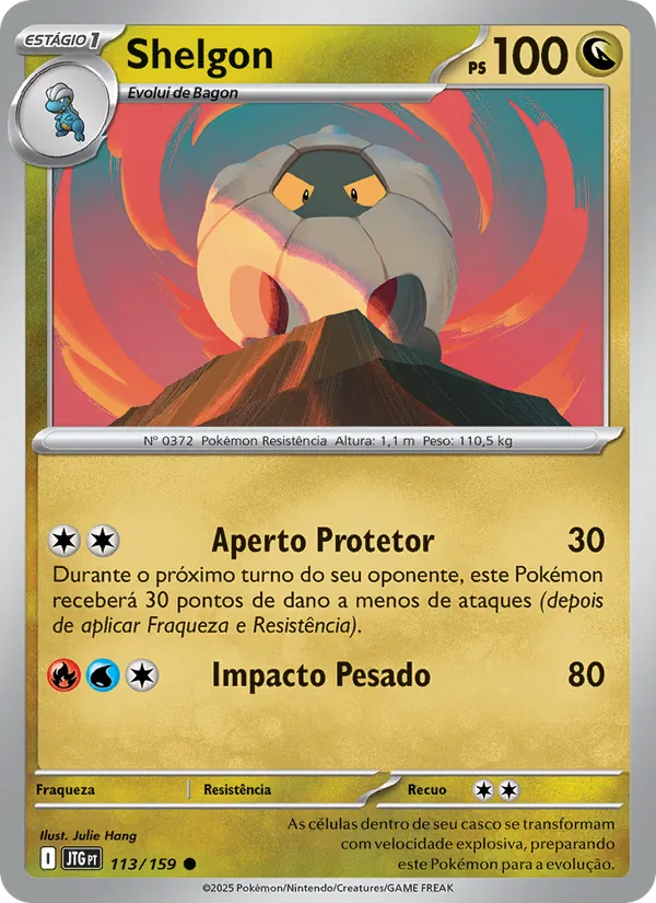 Shelgon Amigos de Jornada 113/159