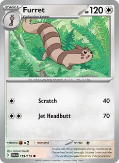 Furret