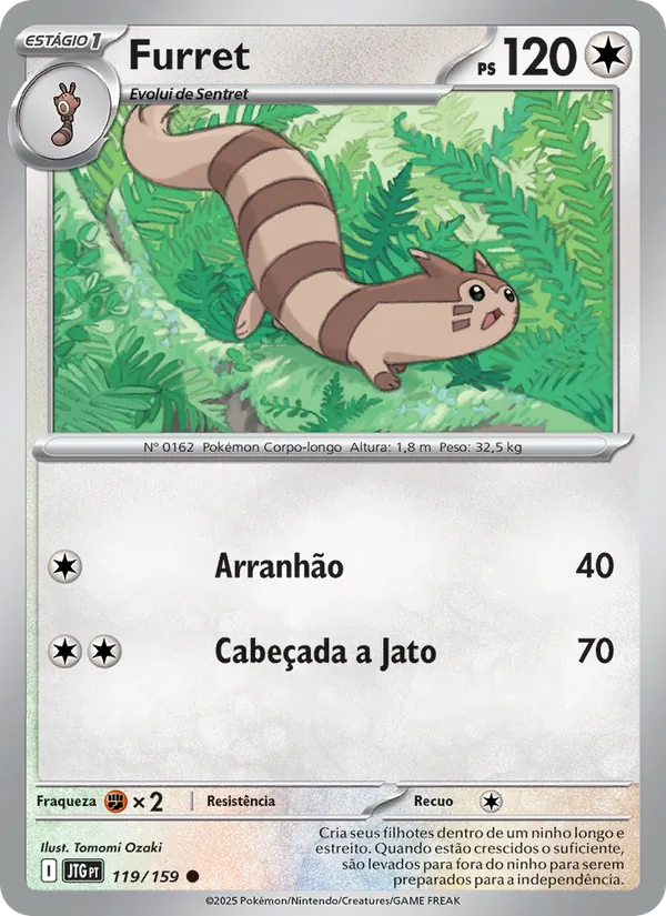 Furret Amigos de Jornada 119/159