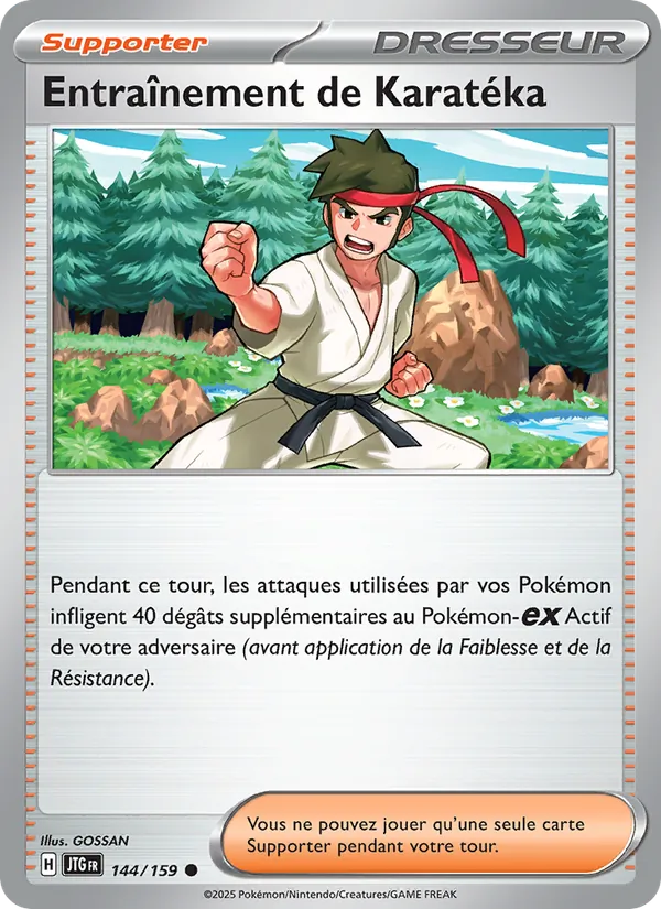 Entraînement de Karatéka Aventures Ensemble 144/159