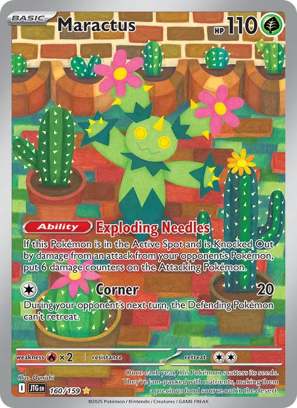 Maractus Journey Together 160/159