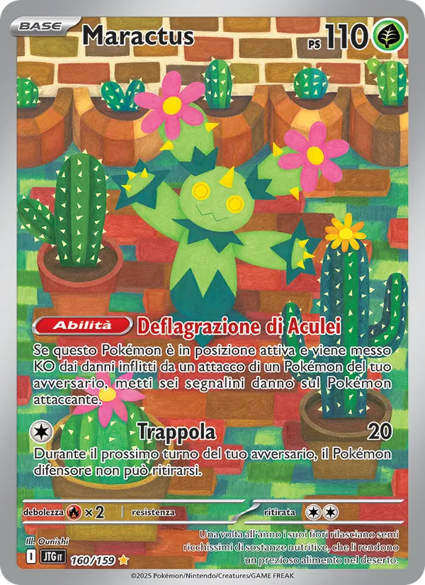 Maractus Avventure Insieme 160/159