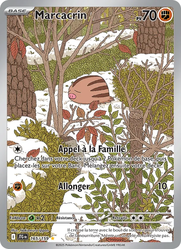 Marcacrin Aventures Ensemble 165/159