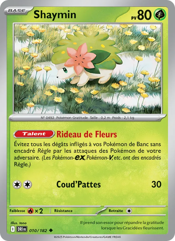 Shaymin Rivalités Destinées 010/182