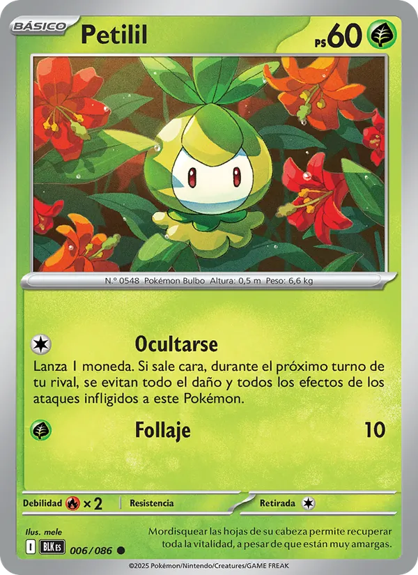 Petilil Fulgor Negro 006/86
