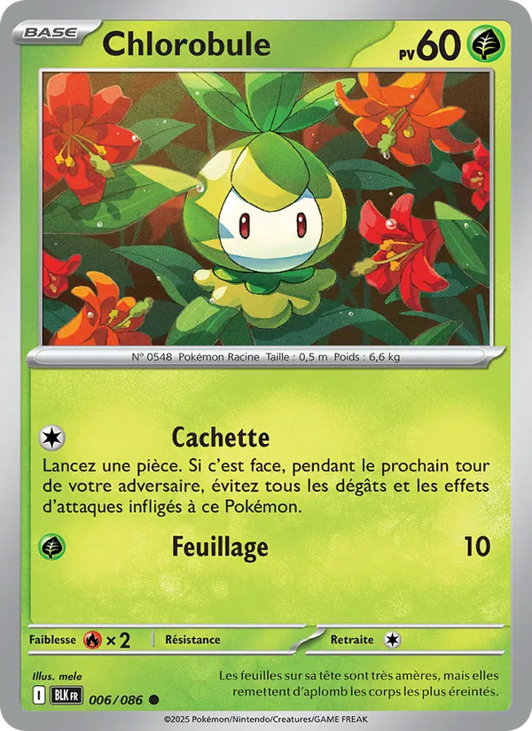 Chlorobule Foudre Noire 006/86