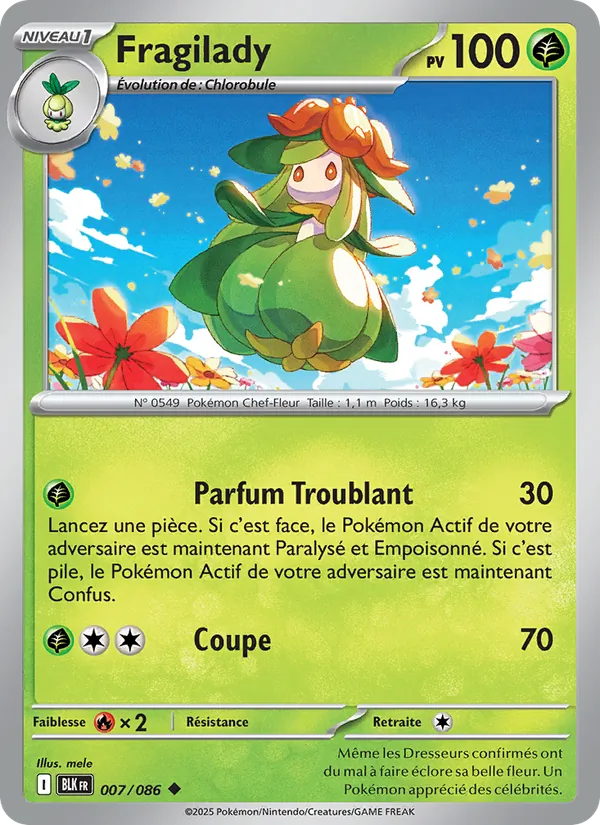 Fragilady Foudre Noire 007/86