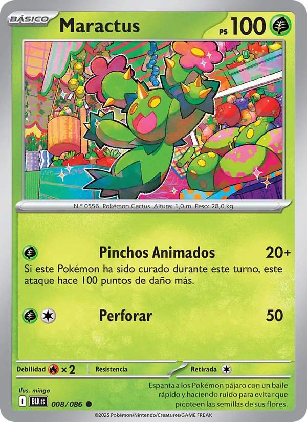 Maractus Fulgor Negro 008/86