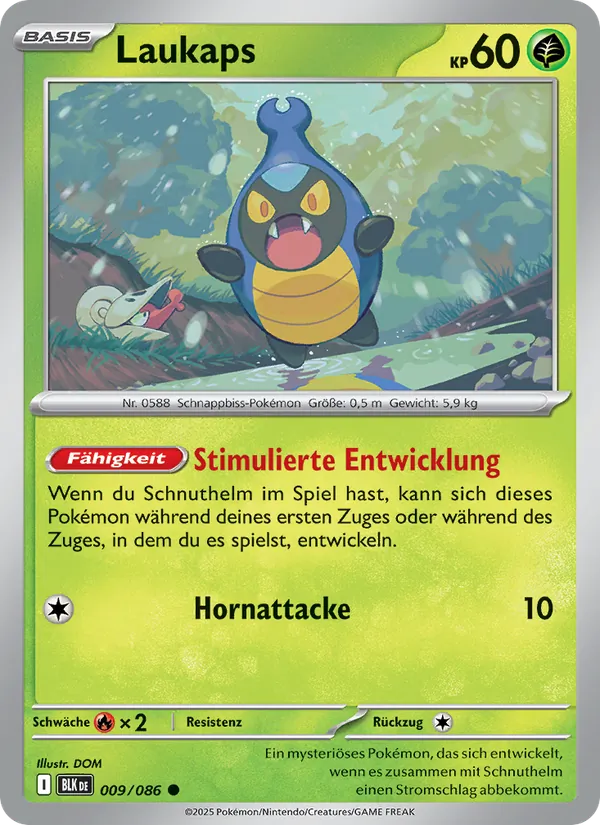 Laukaps Schwarze Blitze 009/86