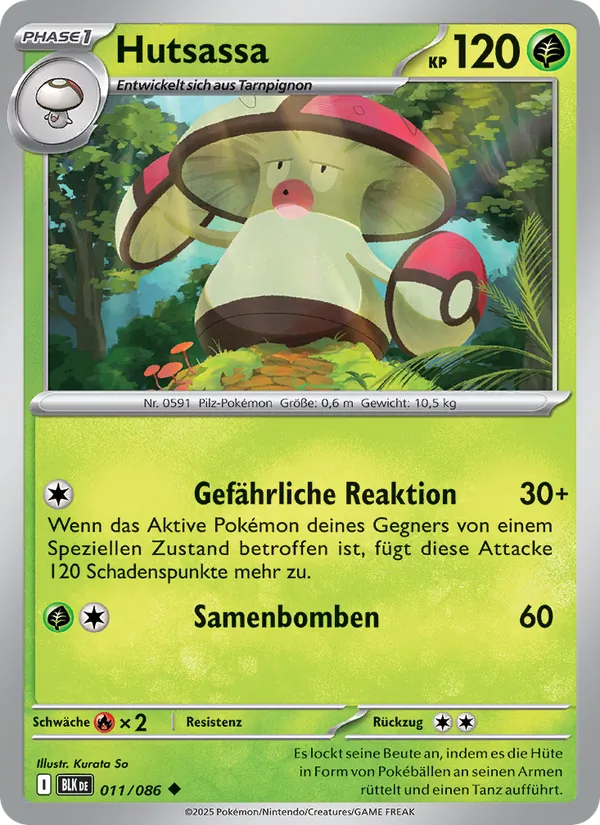 Hutsassa Schwarze Blitze 011/86