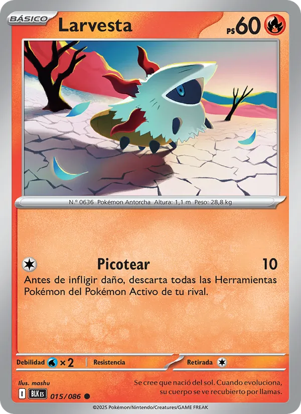 Larvesta Fulgor Negro 015/86