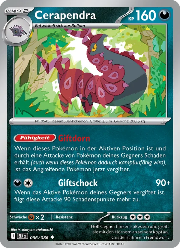 Cerapendra Schwarze Blitze 056/86