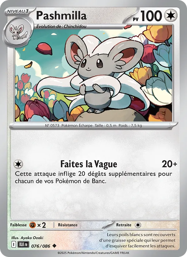 Pashmilla Foudre Noire 076/86