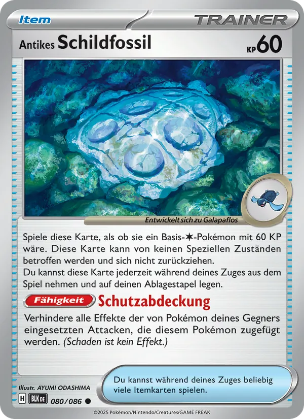 Antikes Schildfossil Schwarze Blitze 080/86