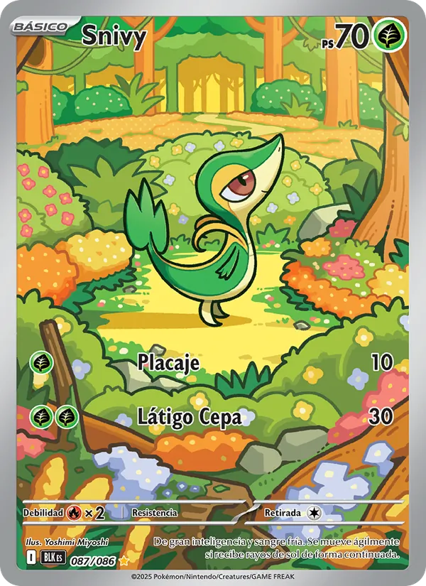 Snivy Fulgor Negro 087/86