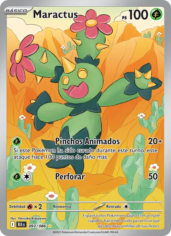Maractus Fulgor Negro 093/86