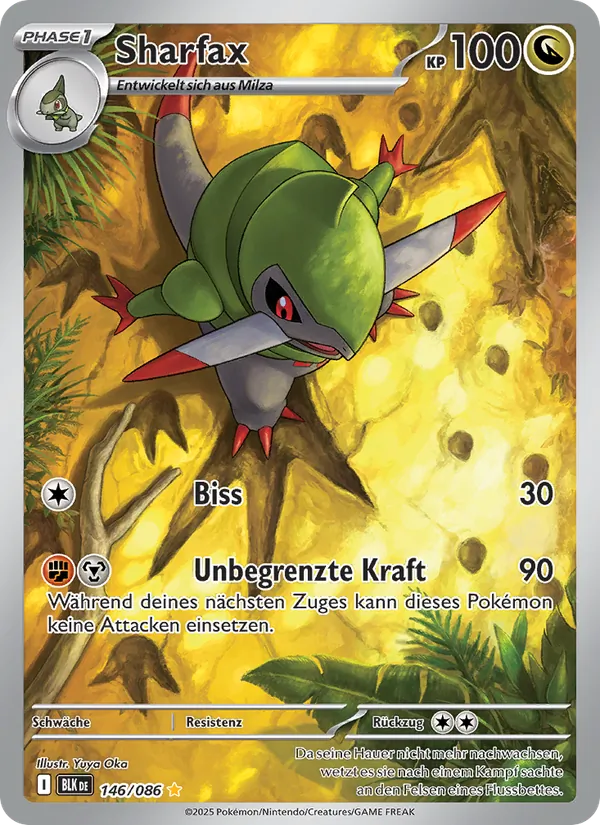 Sharfax Schwarze Blitze 146/86