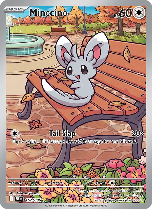 Minccino Black Bolt 152/86