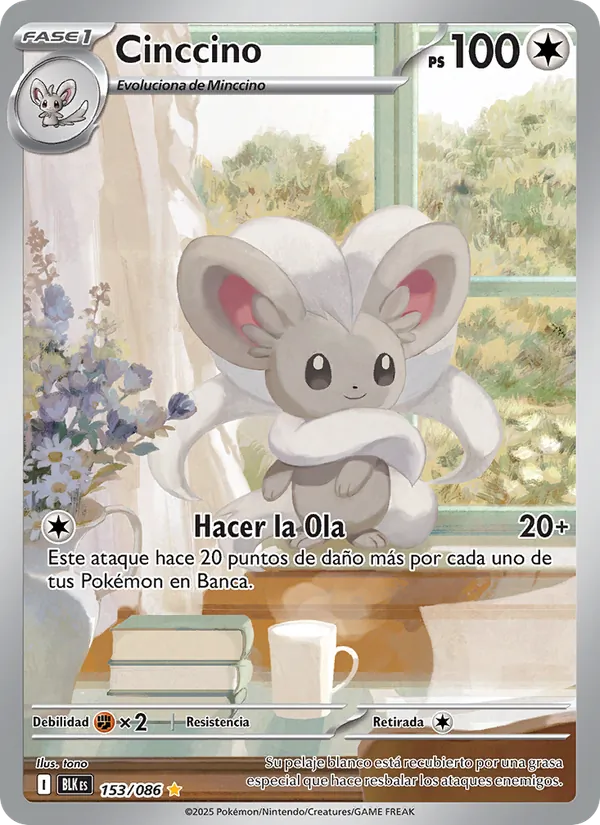 Cinccino Fulgor Negro 153/86