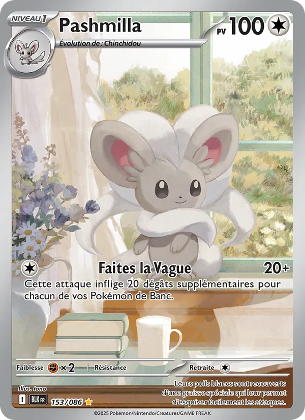 Pashmilla Foudre Noire 153/86