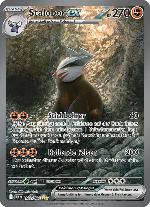 Stalobor-ex Schwarze Blitze 168/86