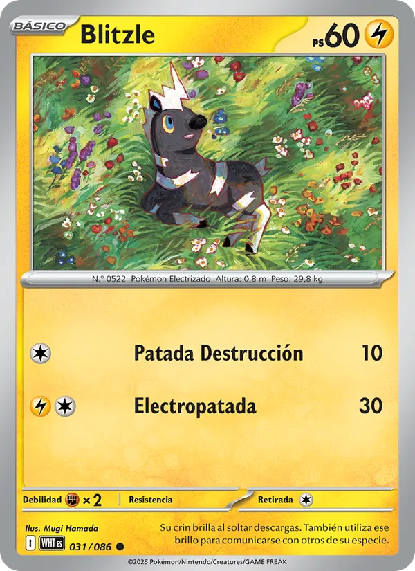 Blitzle Llama Blanca 031/86