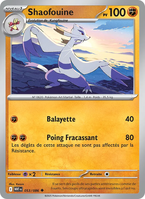 Shaofouine Flamme Blanche 053/86