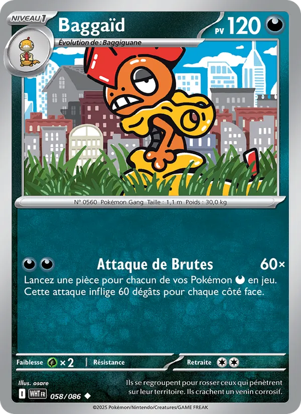Baggaïd Flamme Blanche 058/86