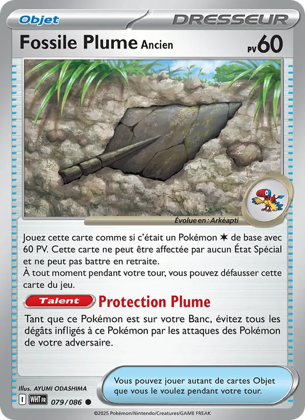 Fossile Plume Ancien Flamme Blanche 079/86