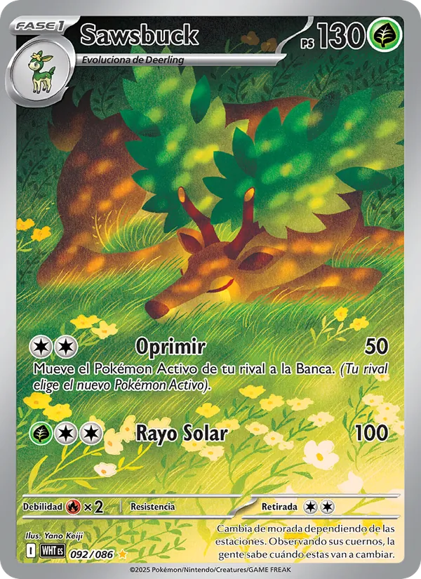 Sawsbuck Llama Blanca 092/86