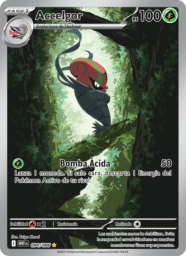 Accelgor Llama Blanca 094/86