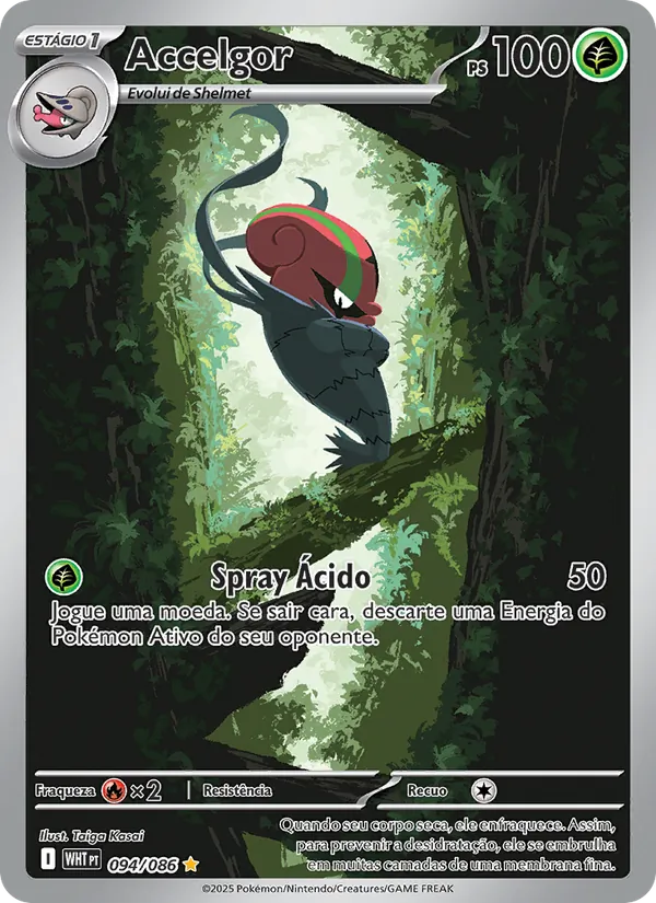 Accelgor Fogo Branco 094/86