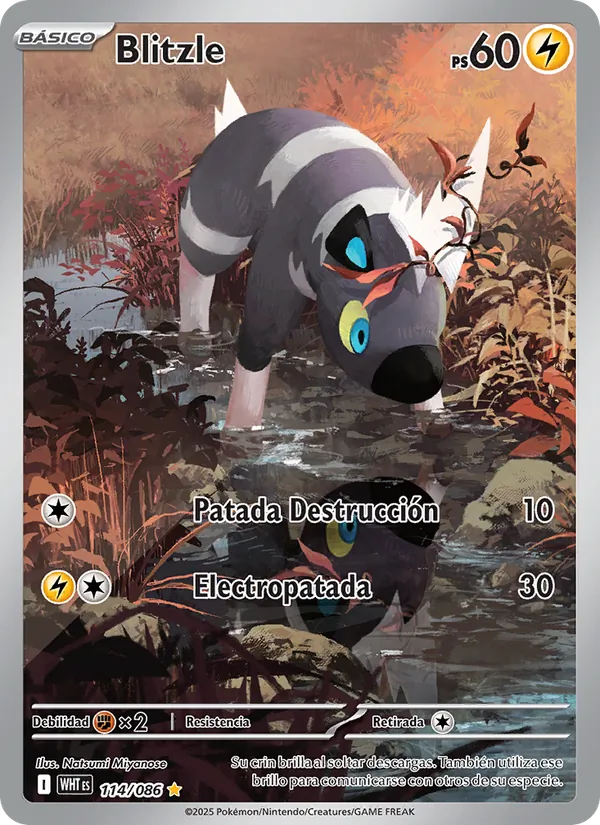 Blitzle Llama Blanca 114/86