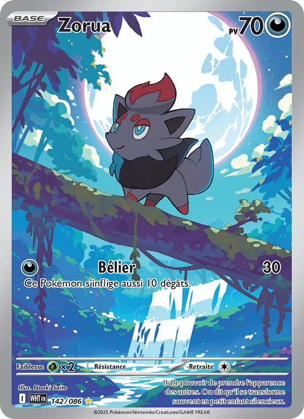 Zorua Flamme Blanche 142/86