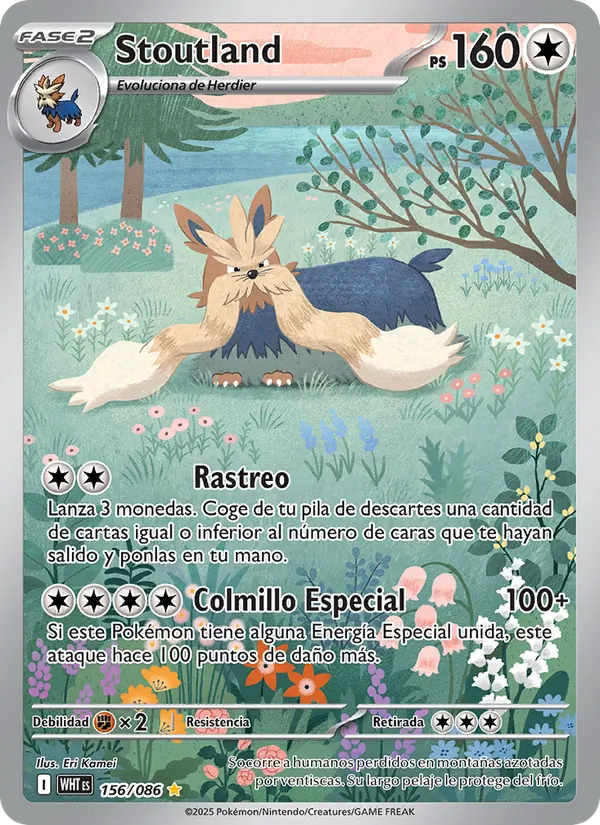 Stoutland Llama Blanca 156/86