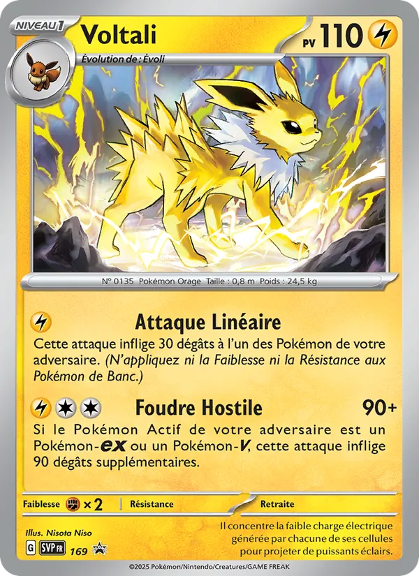 Voltali SVP Black Star Promos 169/225