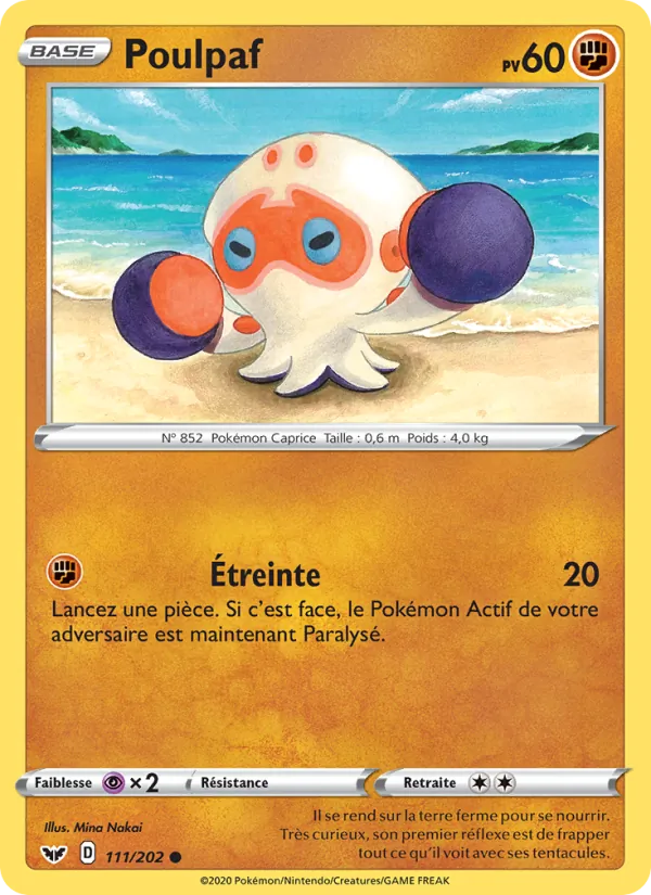 Poulpaf Épée et Bouclier 111/202