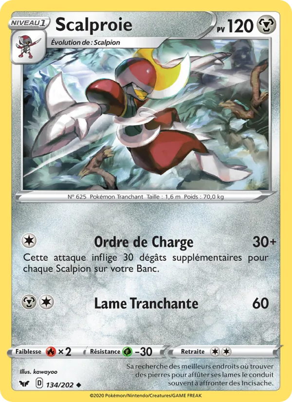 Scalproie Épée et Bouclier 134/202