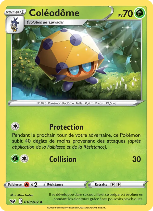 Coléodôme Épée et Bouclier 18/202