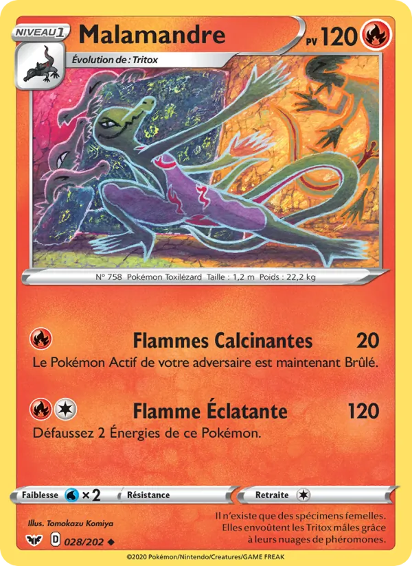 Malamandre Épée et Bouclier 28/202