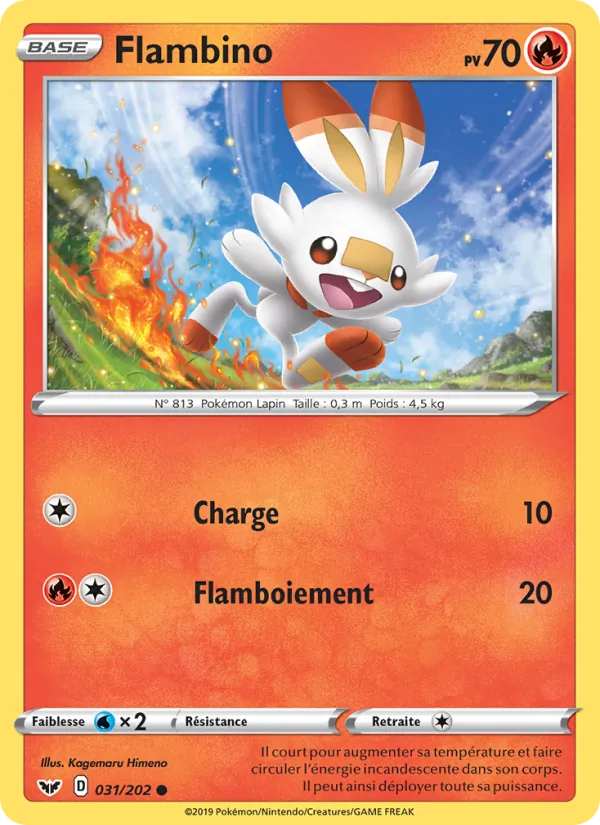 Flambino Épée et Bouclier 31/202